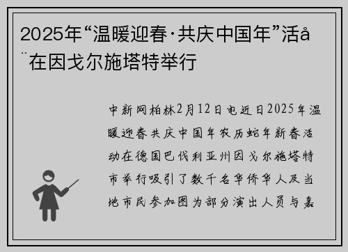2025年“温暖迎春·共庆中国年”活动在因戈尔施塔特举行